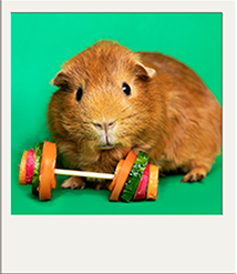 In-class
